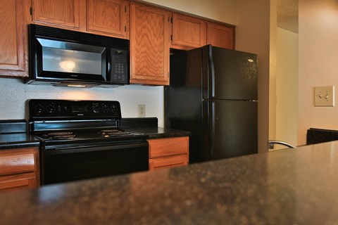 Granite Countertop Kitchen at Turtle Creek Vista, San Antonio, 78229